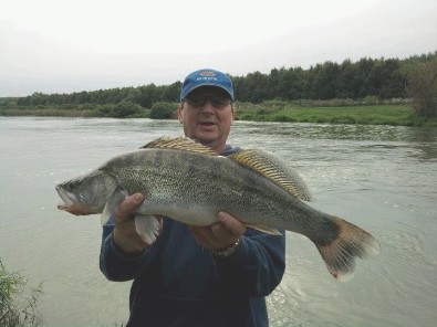 Ein sch�ner Zander